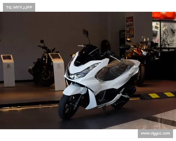 TA从容自现，五羊本田新车将至！