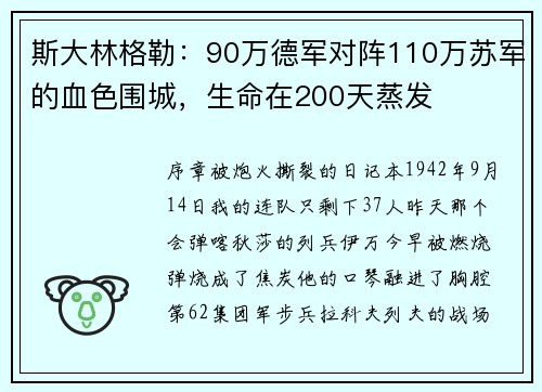 斯大林格勒：90万德军对阵110万苏军的血色围城，生命在200天蒸发